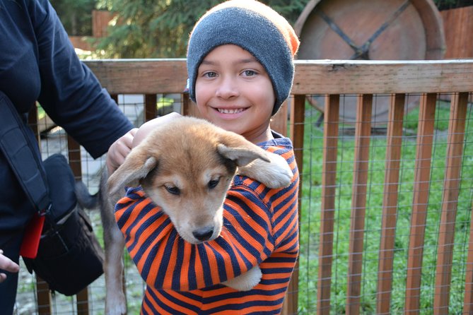 Mushers Camp and Smore Roasting Experience - Tips for Visitors