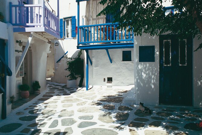 Mykonos Private Island Tour - Experience and Recommendations