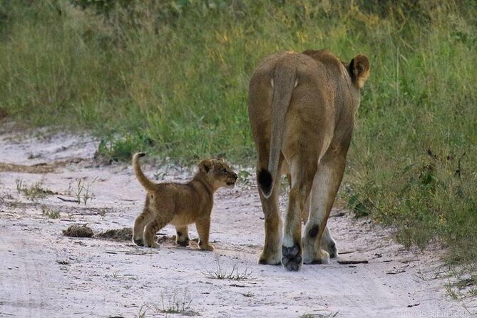 Nairobi National Park Safari and Souvenir Shop. - Frequently Asked Questions