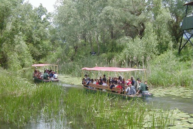 National Bird Reserve Hutovo Blato Photo Safari - About NowBosnia