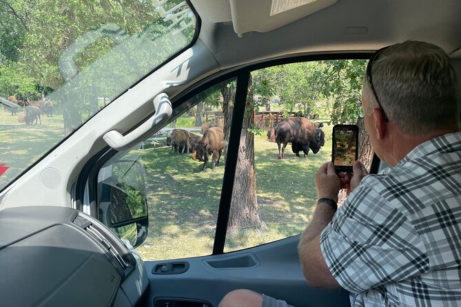 NEW! All Inclusive: Black Hills and Beyond - Sum Up