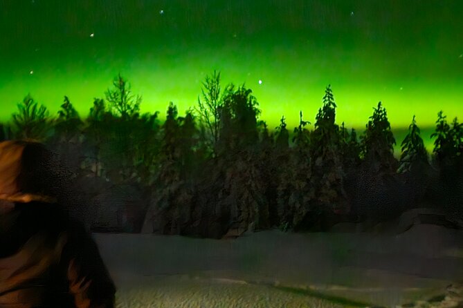 Northern Lights Aurora From Kemi With Pickup - Knowledgeable Local Experts