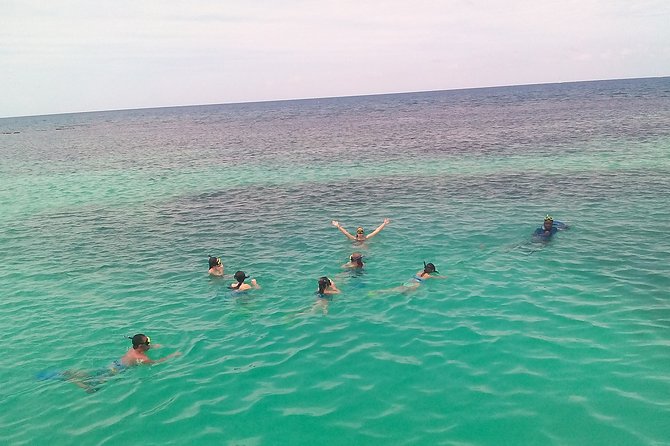 Ocho Rios Shore Excursion: Private Snorkel Tour - Frequently Asked Questions