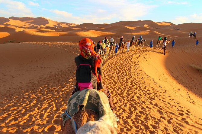 Overnight Camel Trek in Merzouga Dunes - Guest Feedback and Highlights