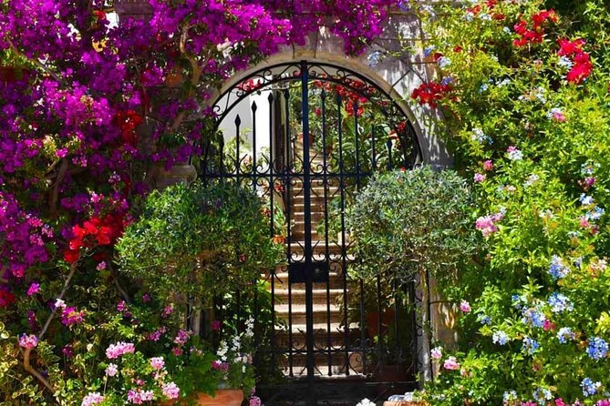 Pelion Treasures: Private Tour of Tsagkarada & Mylopotamos - Port Pickup and Drop-off