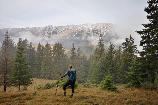 Pestera and Magura Full-Day Private Walking Tour From Brasov - Engaging Commentary