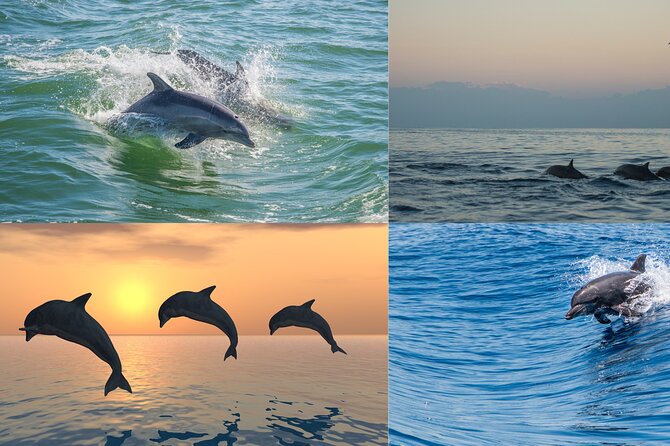 Poreč Panorama and Snorkeling Tour - Customizable Experience