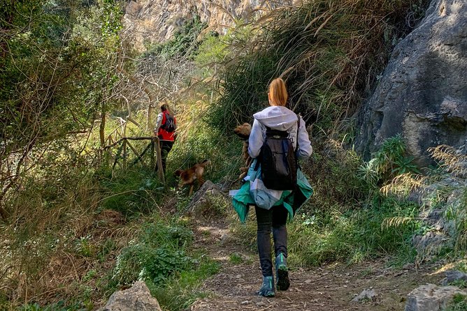 Positano From the Above, Accrossing the Holey Mountain - Guest Reviews and Ratings