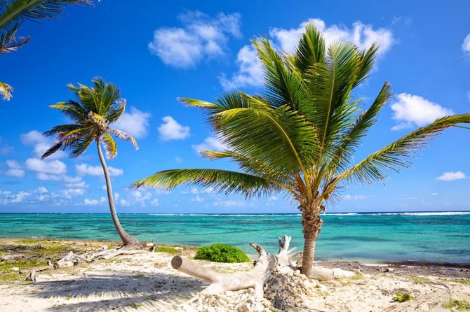 Private Arrival Transfer From Punta Cana Airport (Puj) to Punta Cana - Traveler Reviews