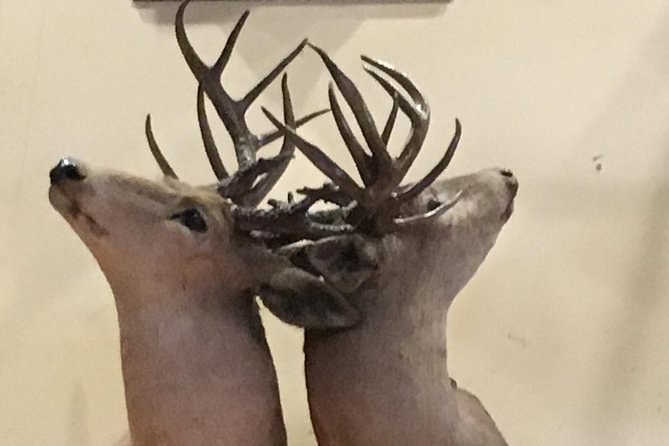Private Drunk History Tour: Featuring Texas Oldest Hotel & Saloon - Sum Up
