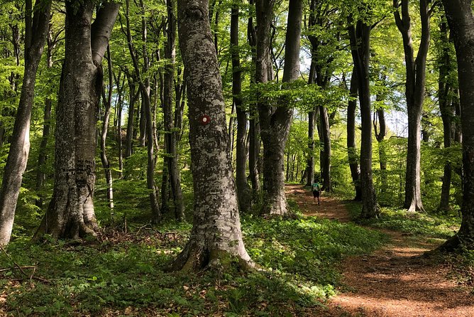 Private Eclectic Hiking Experience of Samobor Hills - Exploring the Zumberak Mountains