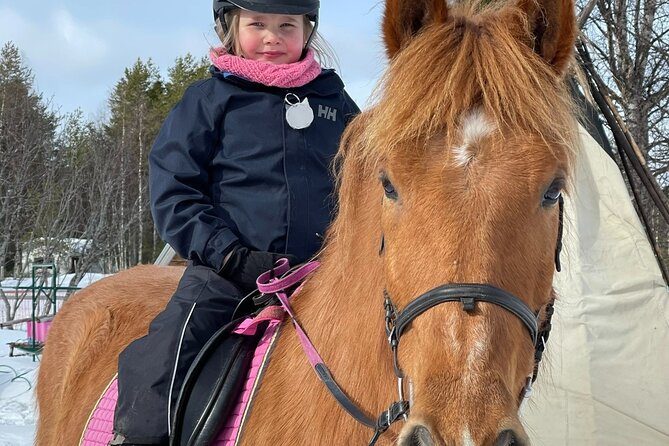 Private Finnhorse Riding in Rovaniemi, Finland With Guide - The Sum Up