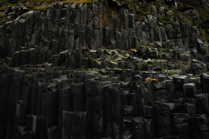 Private Full-Day Discovery of the Icelandic South Coast - Additional Details