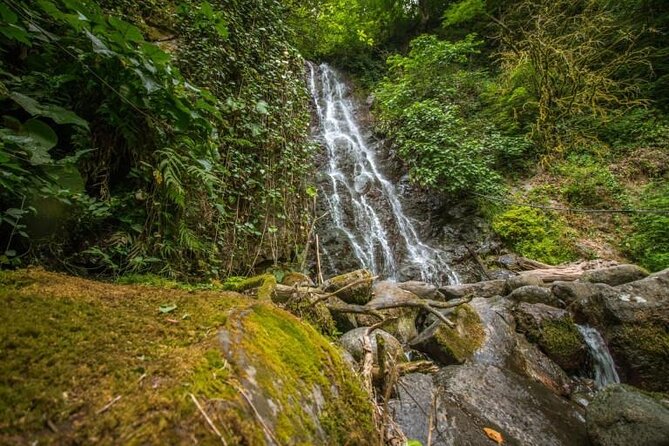 Private Full Day Tour From Batumi to Waterfalls - About the Tour Provider