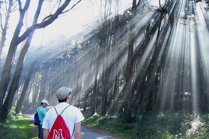 Private Guided Hike in Sintra-Cascais: Explore Nature! - Customer Reviews and Pricing