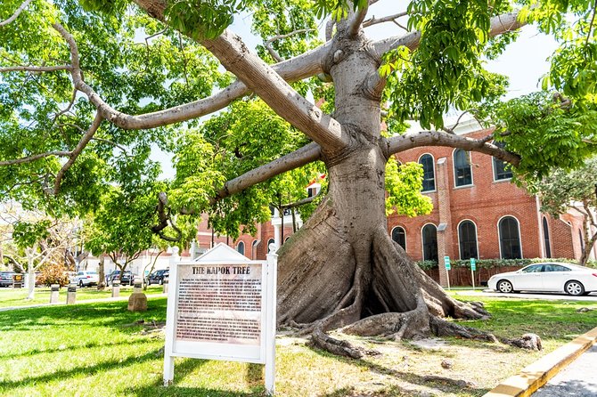 Private Highlights and Stories of Key West Walking Tour - Tips for an Enjoyable Tour