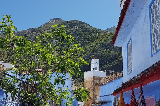 Private Tagine Cooking Class in Chefchaouen With Lunch - Participant Reviews