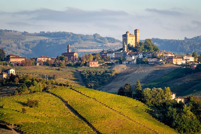 Private Tour: Barolo Wine Tasting in Langhe Area From Torino - Tour Highlights and Options