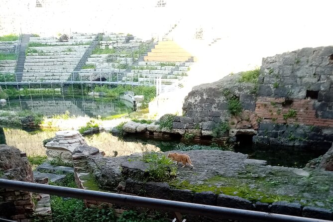 Private Tour of Catania and the Riviera of the Cyclops - Highlights of the Experience