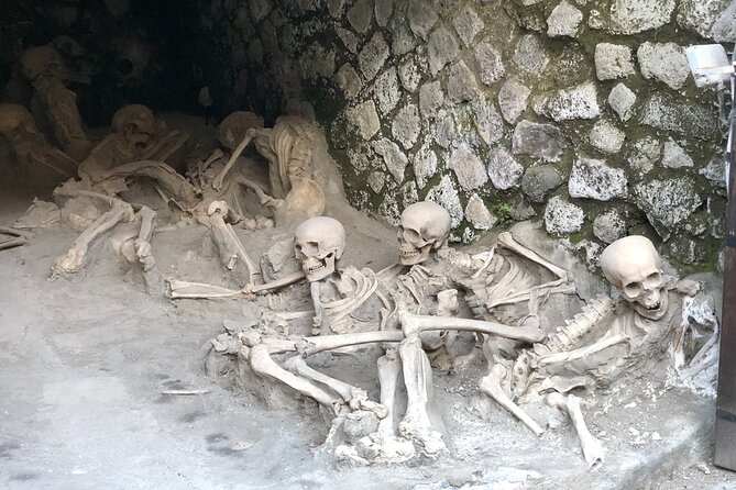 Private Tour: Pompeii Plus Herculaneum With Family Tour Option - Inclusions and Exclusions
