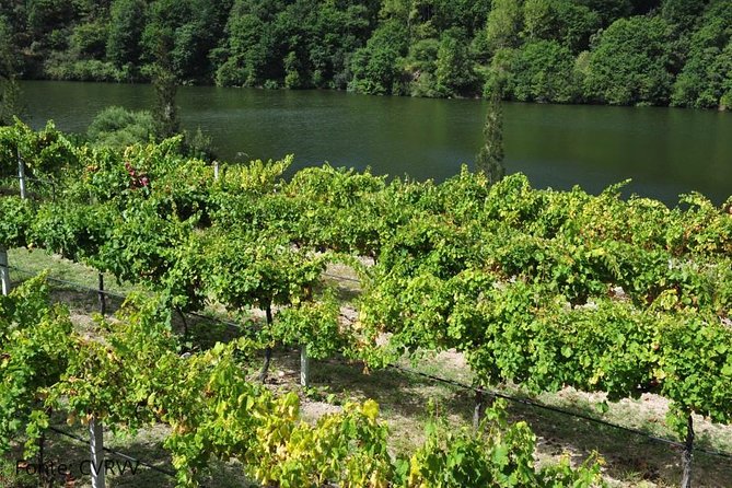 Private Tour to Ponte De Lima, Vinho Verde Region - Availability and Scheduling