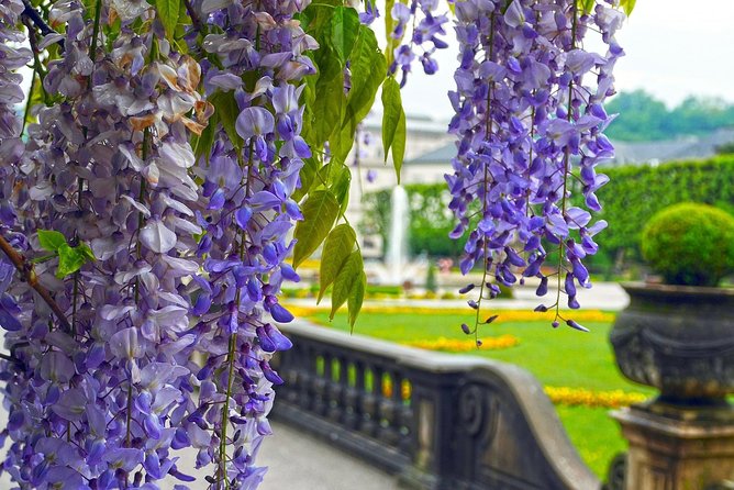 Private Transfer: Vienna Salzburg With a Stop in Mauthausen Concentration Camp - Cancellation Policy and Customer Reviews