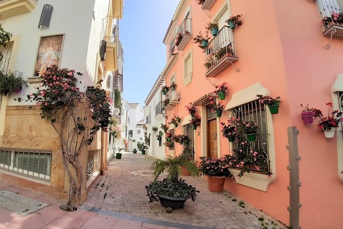Private Trip in Gibraltar and Estepona From Marbella - Admiring the Stunning Scenery in Estepona