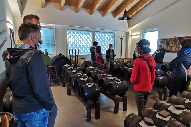 Private Visit to Acetaia With Tasting - Booking and Logistics