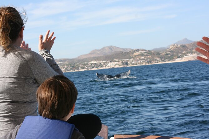 Private Whale Watching in San José Del Cabo - Customizing Your Whale Watching
