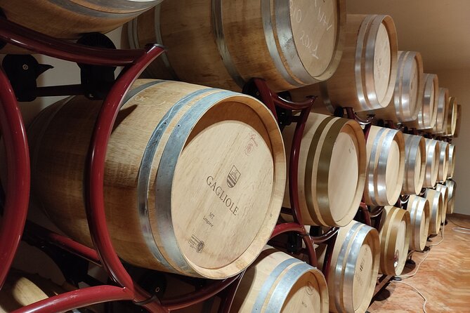Private Wine Tour in Chianti Classico With Sommelier (2 Wineries) - Frequently Asked Questions