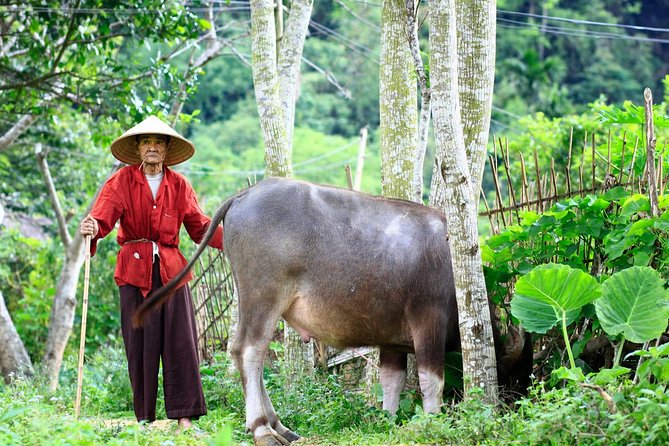 Pu Luong Experience 3 Days Small Group Tour From Hanoi - Important Tour Information