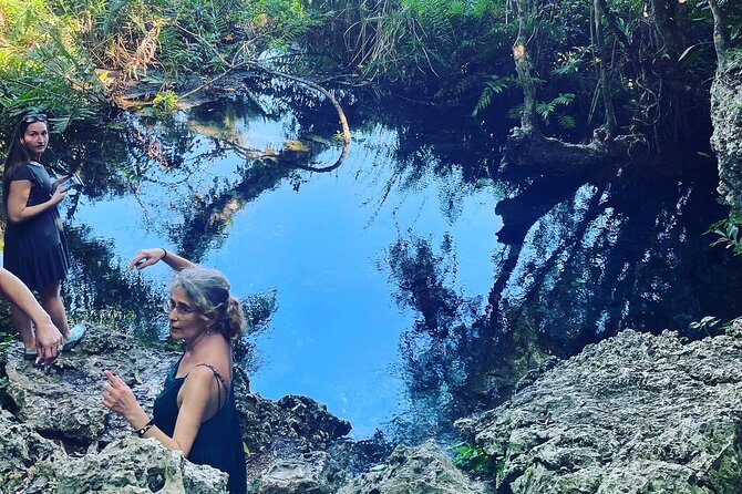 Puerto Rico Hidden Spring Swim and Beach Snorkeling Tour - Frequently Asked Questions