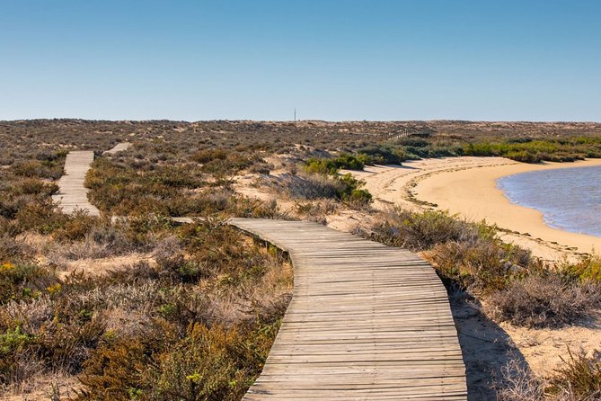 Ria Formosa & Islands : 2h00 Private Tour of Ria Formosa - Preparing for the Adventure