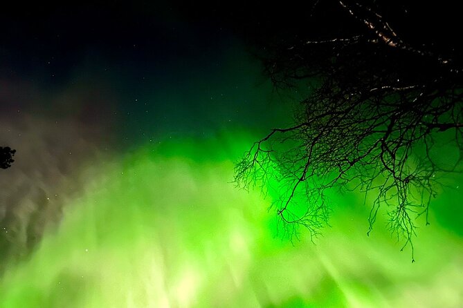 Rovaniemi Northern Lights Small-Group BBQ With Hotel Transfers - What to Bring and Prepare