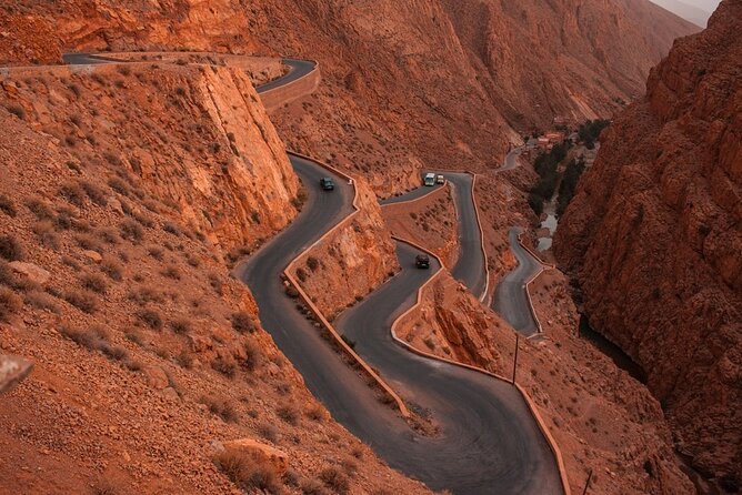 Sahara Adventure in 4 Days - Traveler Feedback and Ratings