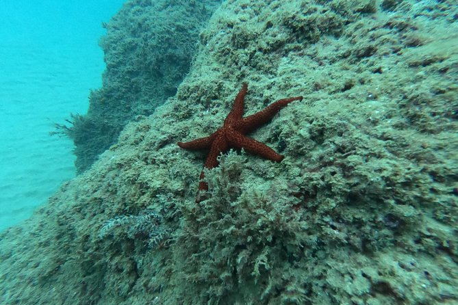 Salou Private Beginner Scuba Diving Course  - Tarragona - Booking and Confirmation Process
