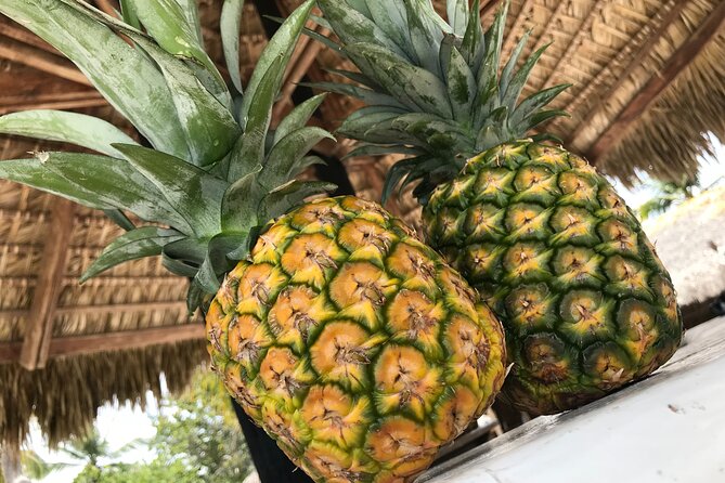 Saona Island Day Trip + Lobsters Included in Cap Cana - Explore Saona Island