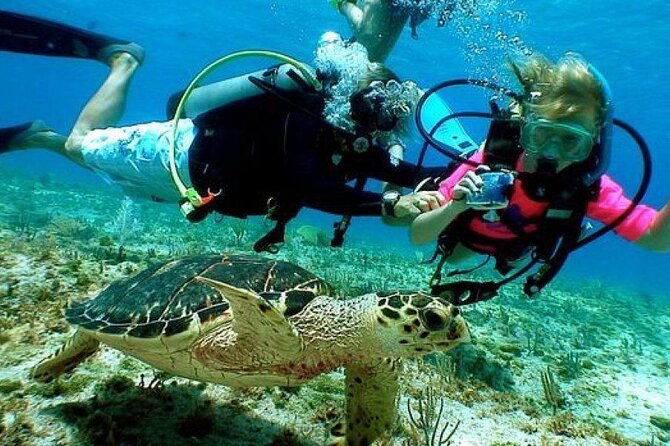 Scuba Diving Boat Trip in Island Catalina With Pickup - Frequently Asked Questions