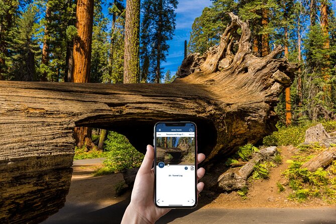 Sequoia & Kings Canyon Np Self-Guided Driving Audio Tour - Customer Feedback and Recommendations