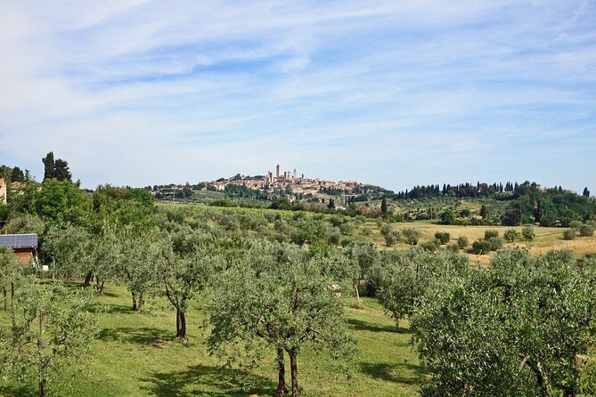 Siena and San Gimignano and Chianti Wine Small-Group Tour From Pisa - Customer Support and Reviews
