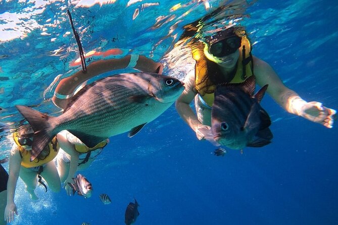 Snorkel Along the Coast, Explore Two Reefs by Chivis Del Mar - Convenient Transportation and Accessibility