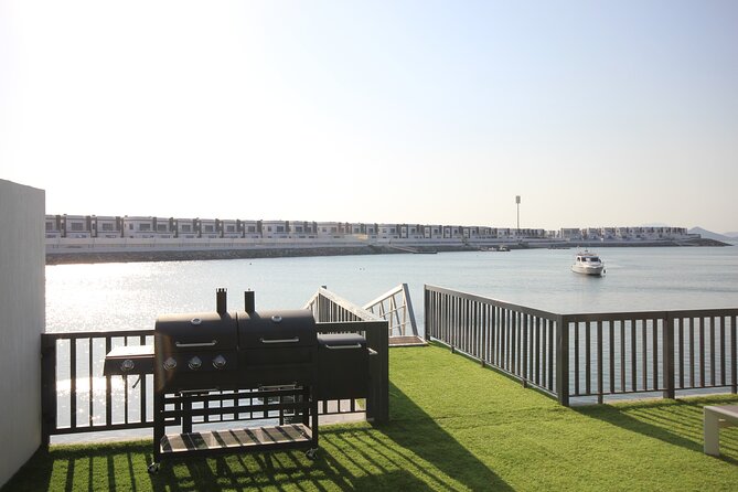 Snorkeling With Turtles in Fujairah With BBQ Lunch - Explore the Underwater Wonders