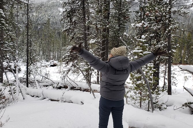 Snowshoe or XC Ski in North Yellowstone (Half Day) - Sum Up