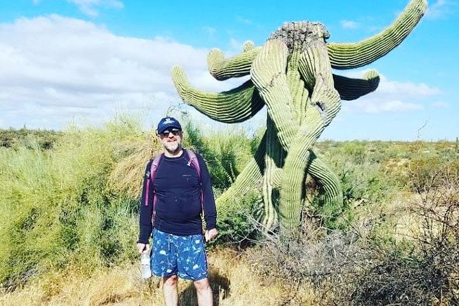 Sonoran Desert 1/2 Private Group Day Hike Casual to Challenging - Traveler Feedback and Recommendations