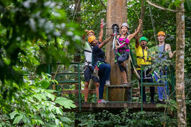 St Lucia Rainforest Canopy Zip Line Adventure - What to Expect on the Tour