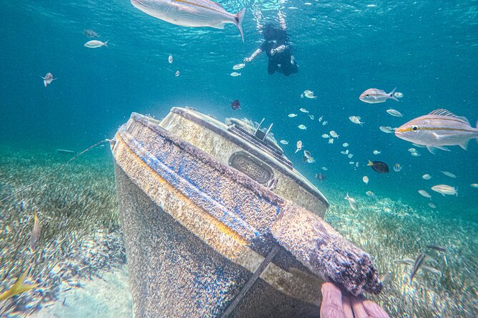 Suncay Sunken Sculpture Snorkel & Iguana Encounter With Lunch - Meeting Point and Start Time