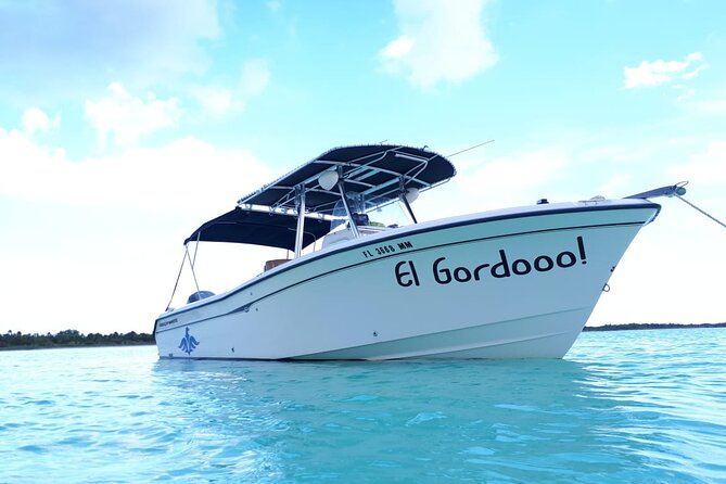 Super Cozumel Combo Snorkel by Boat and Jeep Exploration (Private) - Pricing and Booking