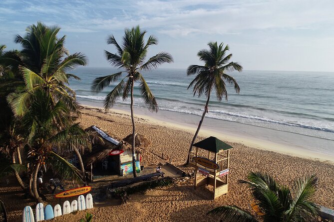 Surfing in Paradise, Macao Beach Punta Cana - Booking and Confirmation Details