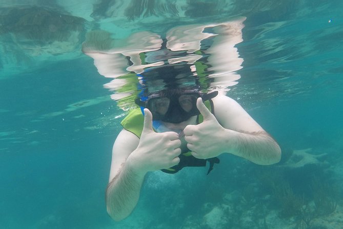 Swim With Sea Turtles - Preparing for the Tour