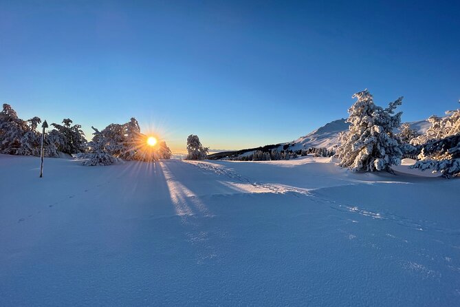 The Best of Sofia: Magical Snowshoeing Adventure in Vitosha & SPA - Practical Tips for a Seamless Experience
